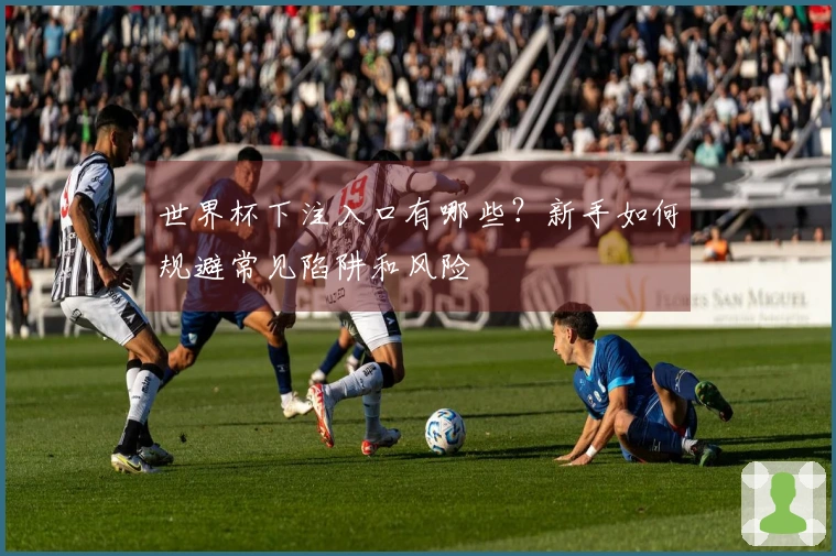 世界杯下注入口有哪些？新手如何规避常见陷阱和风险
