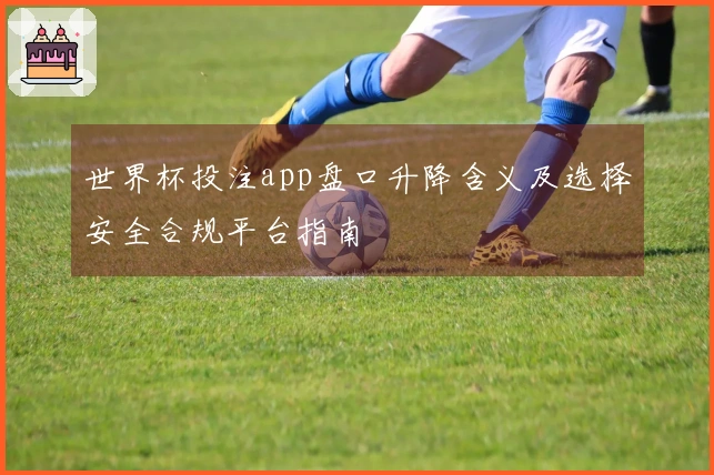 世界杯投注app盘口升降含义及选择安全合规平台指南