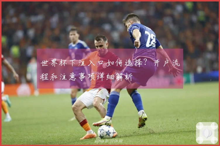 世界杯下注入口如何选择？开户流程和注意事项详细解析