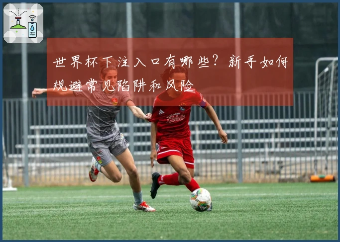 世界杯下注入口有哪些？新手如何规避常见陷阱和风险