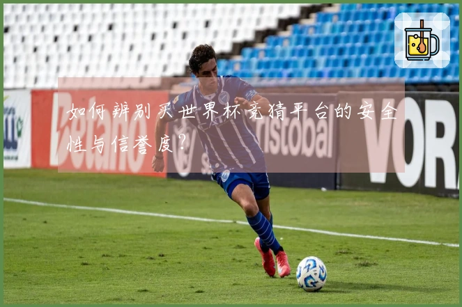 如何辨别买世界杯竞猜平台的安全性与信誉度？