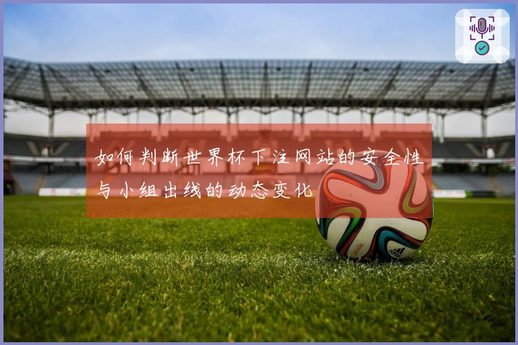 如何判断世界杯下注网站的安全性与小组出线的动态变化