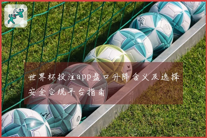世界杯投注app盘口升降含义及选择安全合规平台指南